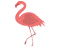 Flamingoes logo