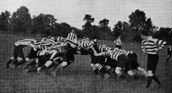 Marlborough Nomads Scrum