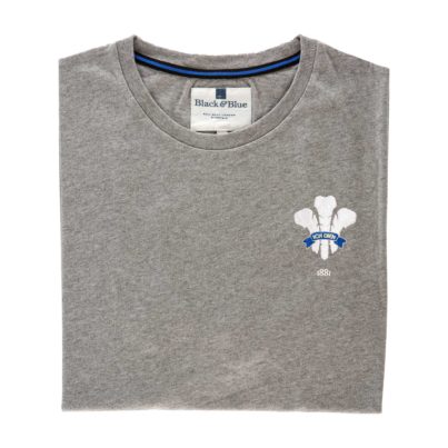 Wales 1881 Grey Tshirt_Folded