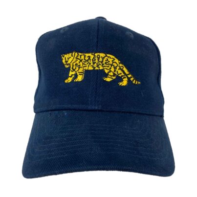 ARGENTINA BASEBALL CAP