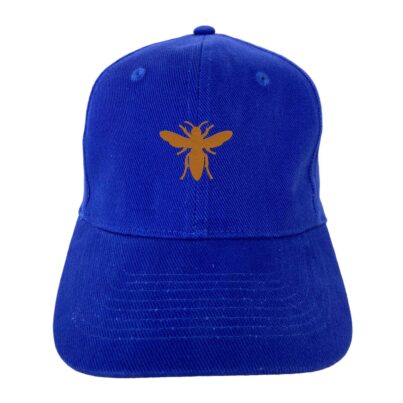 BEES BASEBALL CAP